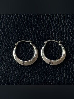 10K Hoop earrings